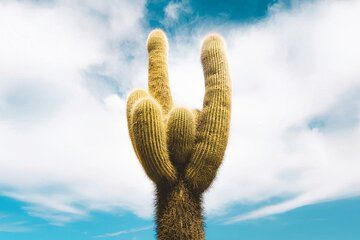 Flavors of Altura, I lived Cachi and Hornocal in 2 days