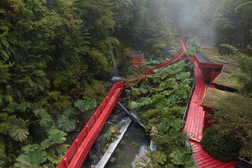 Geometric Baths from Valdivia with lunch