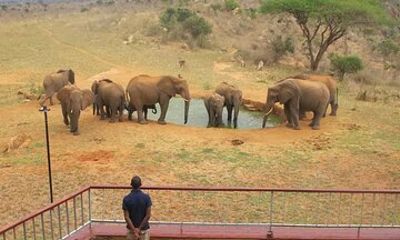 3 Day Amboseli Tsavo West Mombasa Safari