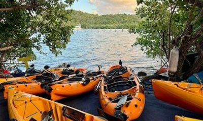 Guided Kayak Tour of Salt River Bay Ecology and History