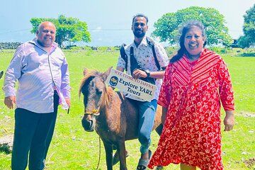 Full Day Tour Delft and Nainativu Island Adventure from Jaffna