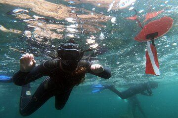 Snorkeling Exit Simples in Sesimbra
