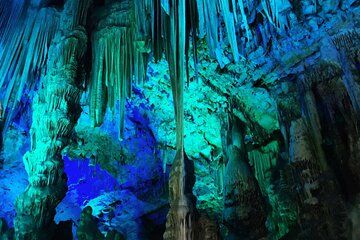 Discover Gibraltar with Gibtours