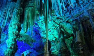 Discover Gibraltar with Gibtours