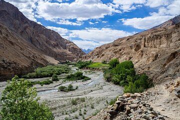 Markha Valley Trek in Ladakh