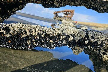 Full-Day Tour: 4 Coastal Towns + Haystack Rock