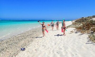 Ningaloo In A Full day Hike and Snorkel Tour