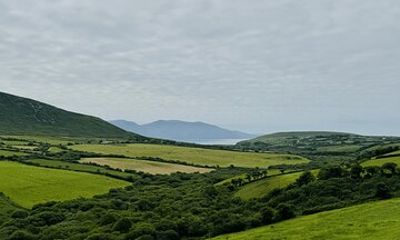 Private Dingle & Slea Head Luxury Tour with No 1 Local Guide