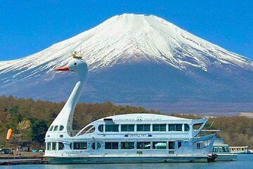 Private Mt Fuji and Hakone Tour with Driver