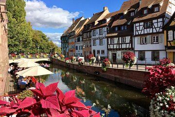 Excursion on the Alsace Wine Route