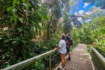 George Brown Darwin Botanic Gardens Shared Tour