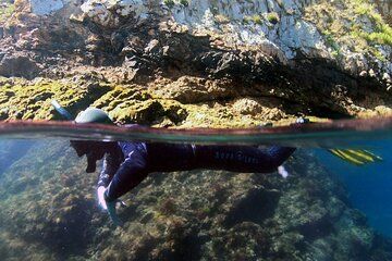 Double Snorkeling Exit on Berlenga Island