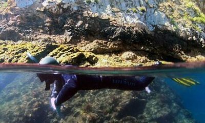 Double Snorkeling Exit on Berlenga Island