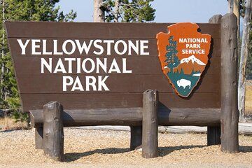 Private Full Day Luxury Tour at Yellowstone Park