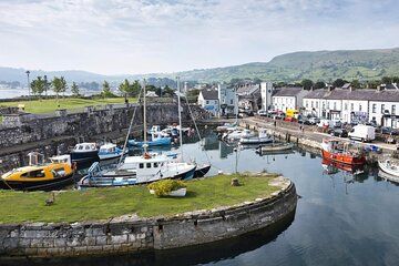 Belfast Sightseeing and Mural Tour