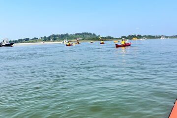 Guided Kayak at the Crane Estate