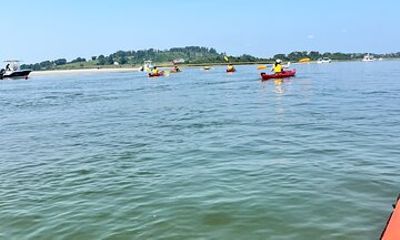 Guided Kayak at the Crane Estate Wildlife Refuge- Ipswich, MA