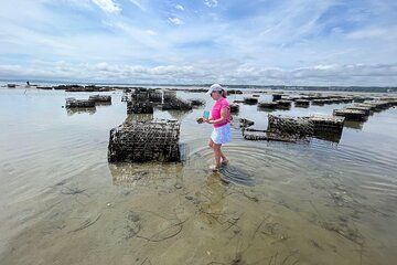 Hands-On Oyster Farm Experience in Plymouth