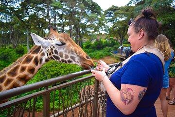 Into The wild Together Safari