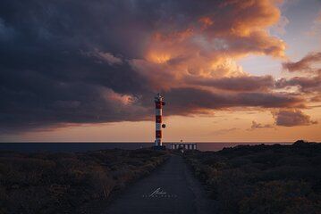 Tenerife Private Tour with Photo Shoot