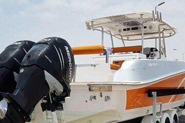 Fishing Tour and Dolphin Watching in Musandam, Oman