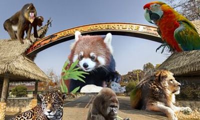 Seoul Grand Park Ticket and Transportation Package