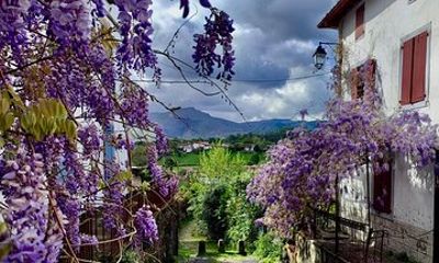 Biarritz Pilgrim Route Tour and Inland Basque Country