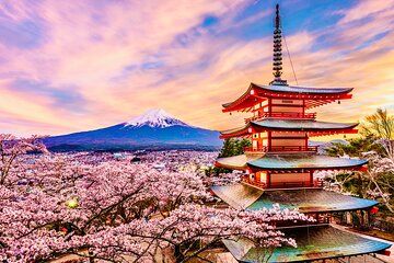 Mount Fuji Private Tour with English Speaking Driver/Guide