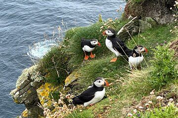 Shetland South Mainland Tour St Ninian Isle and Jarlshof