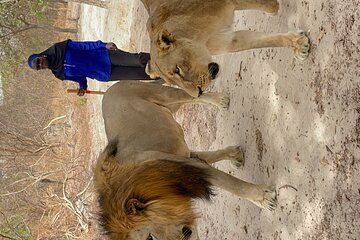 Fathala Wild Life Reserve Safari