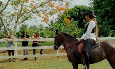 Hacienda Campo Rico Walking Tour with Horse Demostration