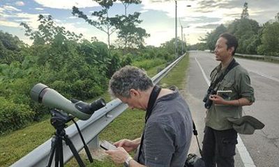 JungleWalla Full Day Penang Mainland Birdwatching