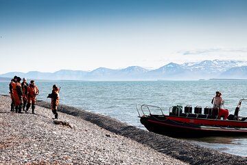 Experience Wildlife Safari on Open Rigid Boat