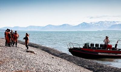 Experience Wildlife Safari on Open Rigid Boat