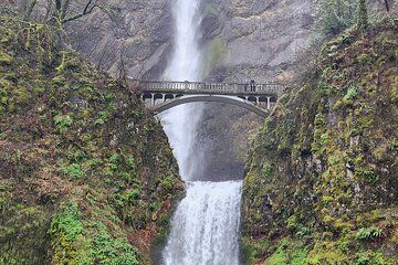 Explore Columbia Gorge and Hot Springs with Rafting