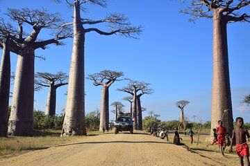 Explore Morondava in a Day