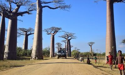 Explore Morondava in a Day