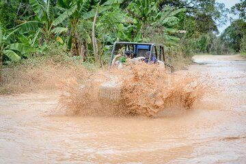 Small group buggy tour typical casa beach and cave