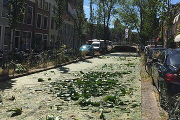 Delft Private Walking Tour