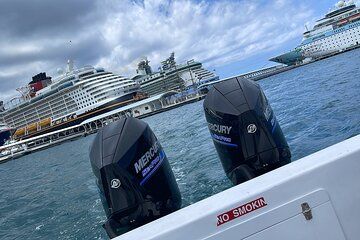 Swimming pigs + Beach Day + Snorkeling