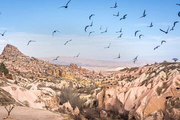 Green Tour Cappadocia (Small Group) with Lunch and Tickets