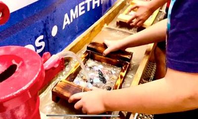 Gem Panning Adventure at the Crystal Gallery