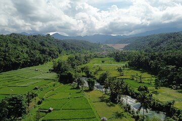 Nature Walking Tour Murpeji Village, West Lombok