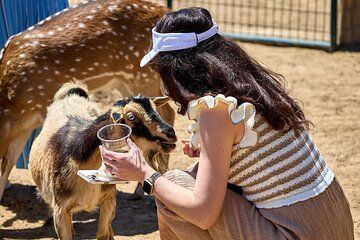 Fredericksburg Safari Tour Without Wine Tasting