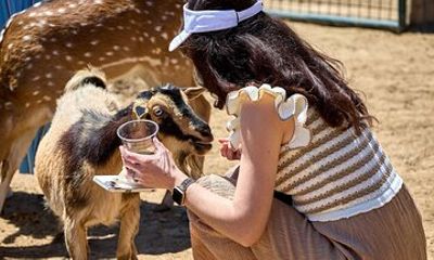 Fredericksburg Safari Tour Without Wine Tasting