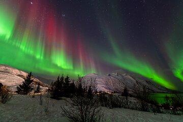 Small Group Aurora Boreales Hunting, photos and snacks included