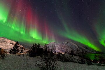 Hunting Aurora Boreales Small Group, with costumes, snacks and photo