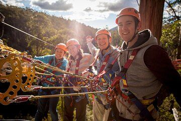 Launceston Hollybank Tree Ropes Experience