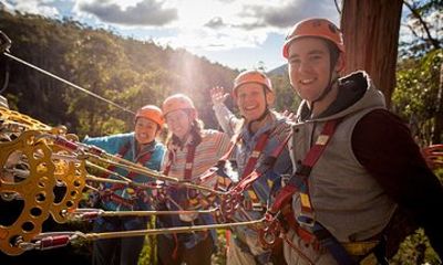 Launceston Hollybank Tree Ropes Experience