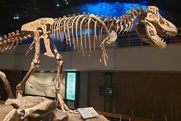 Private Custom Drumheller Badlands: From Calgary Banff Canmore